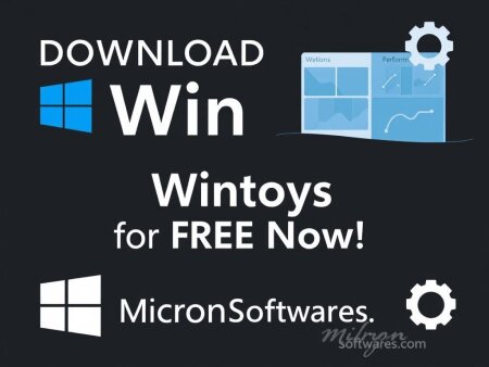 Wintoys